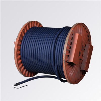 Konduktivna polimerna anoda